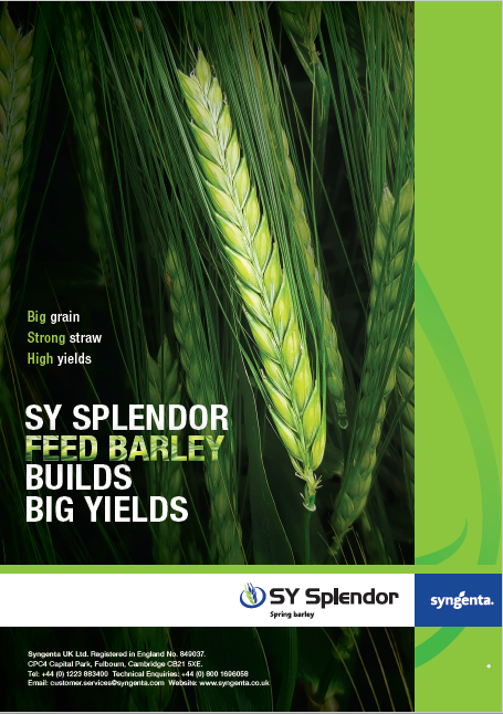 SY_SPLENDOR_ADVERTISEMENT