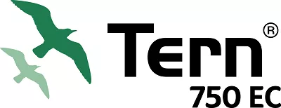 tern