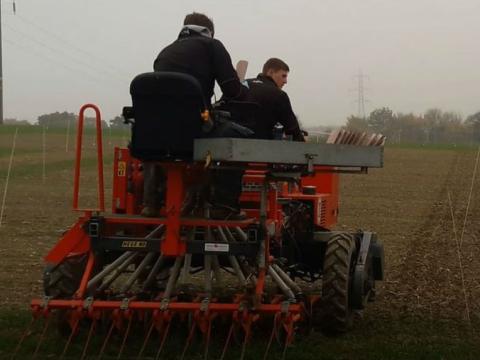 Drilling at rye-grass site