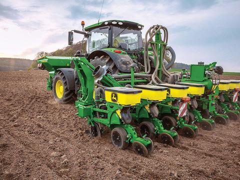Maize drilling