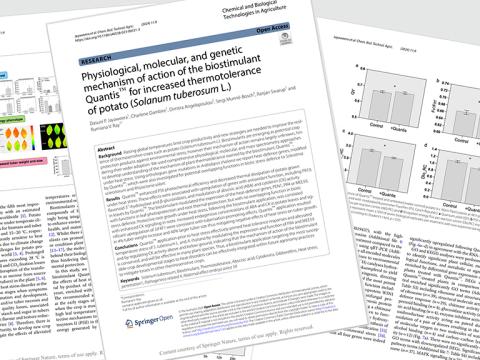 1024_x_576_notts_uni_quantis_paper.jpg