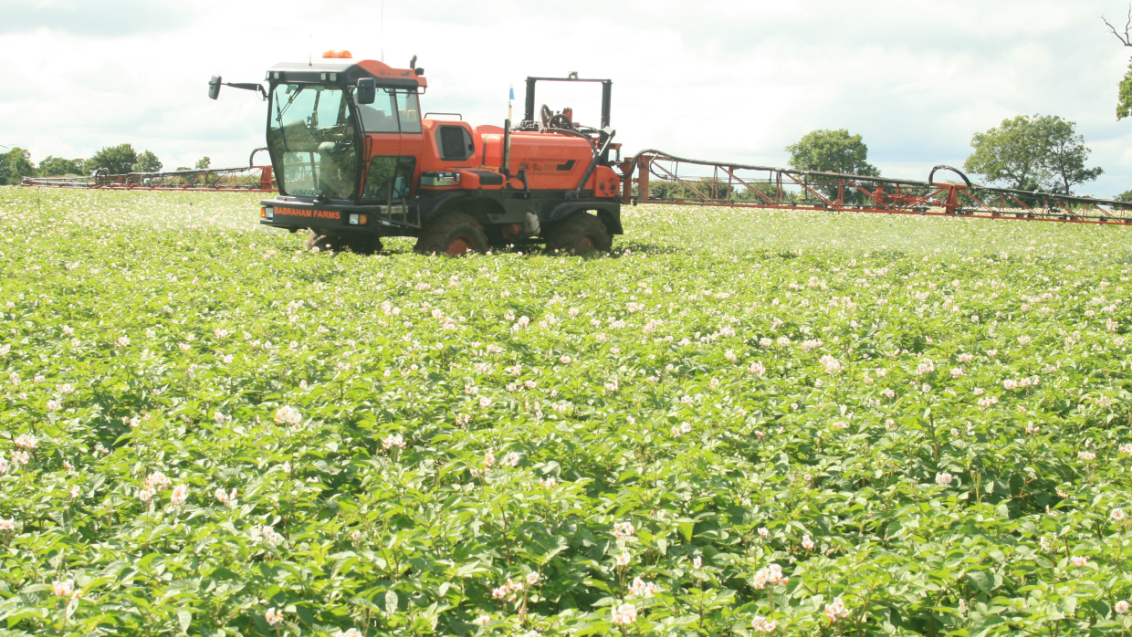 Potatoes application