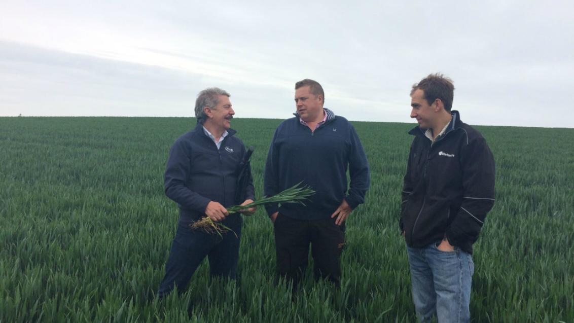 8mm of rain has created a more positive outlook in Kent