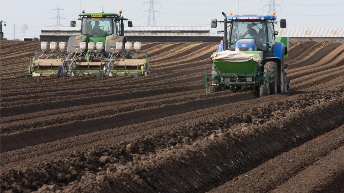Potato seedbed preparation and planting