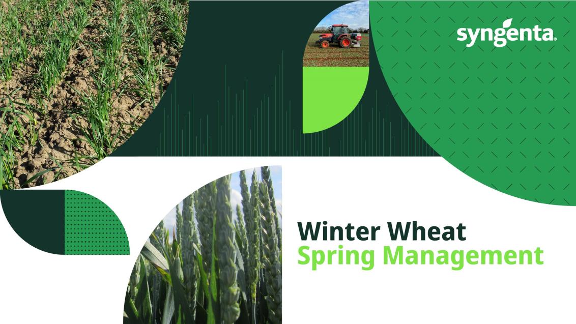 Spring_Management