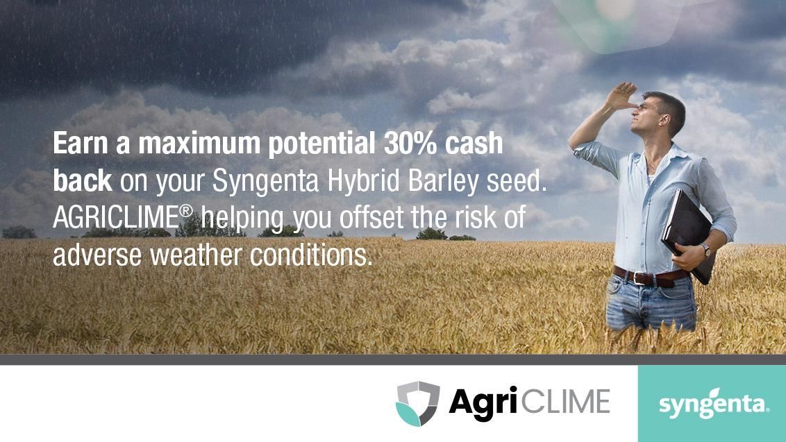 agriclime_banner