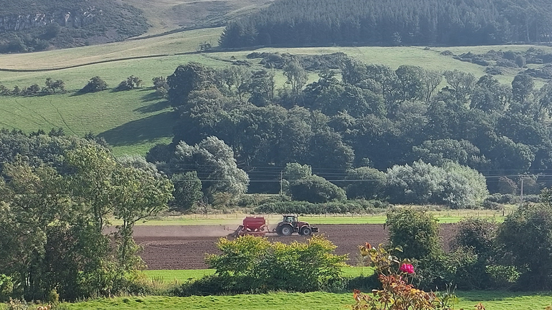 Tractor_in_field_drilling
