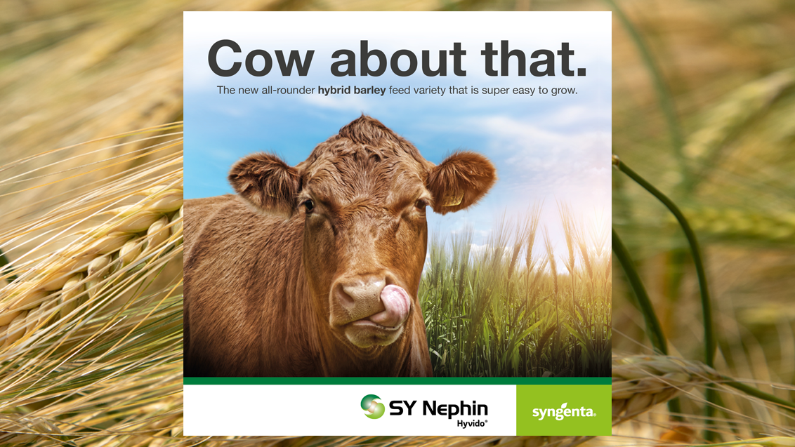 COW_ABOUT_THAT_BANNER