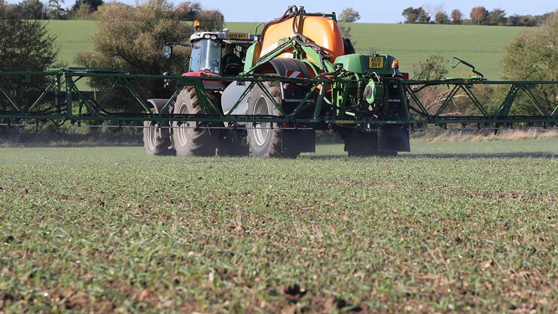 Early spring grass weed target application