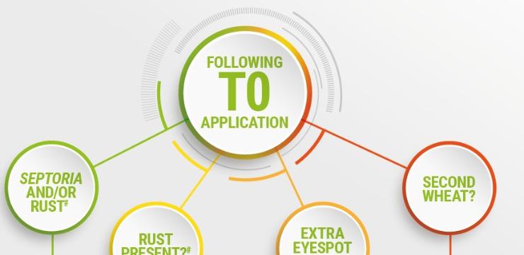 Minimise Risk Maximise Potential