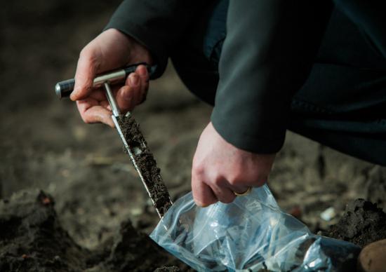 Potato cyst nematode soil sampling
