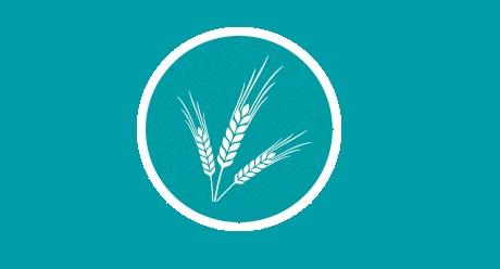 Cultural black-grass control