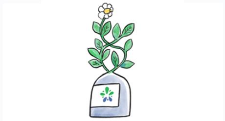 Icon for Quantis application