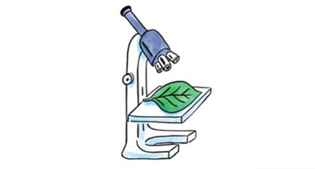 Icon for Quantis scientifically proven