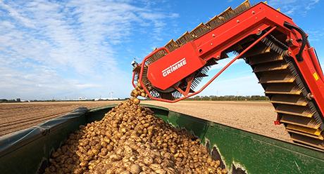 Quantis trial harvesting