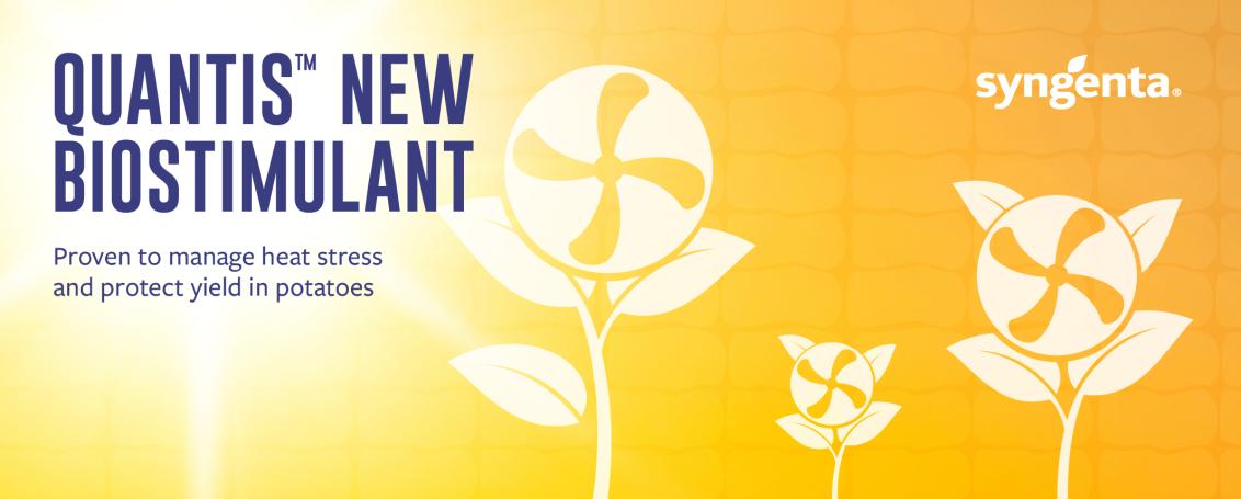 1024x411_syngenta_quantis_potato_biostimulant_digital_banners.jpg