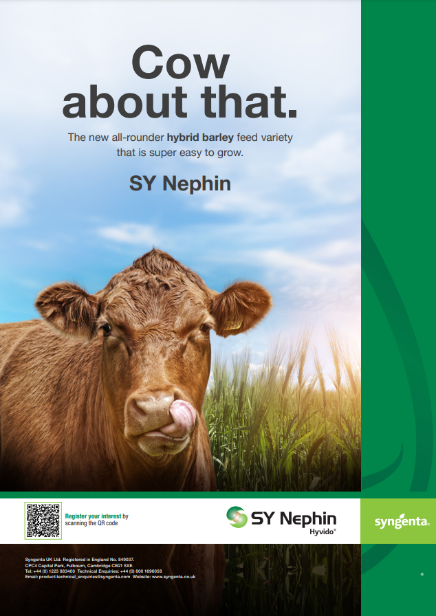 SY_NEPHIN_ADVERT
