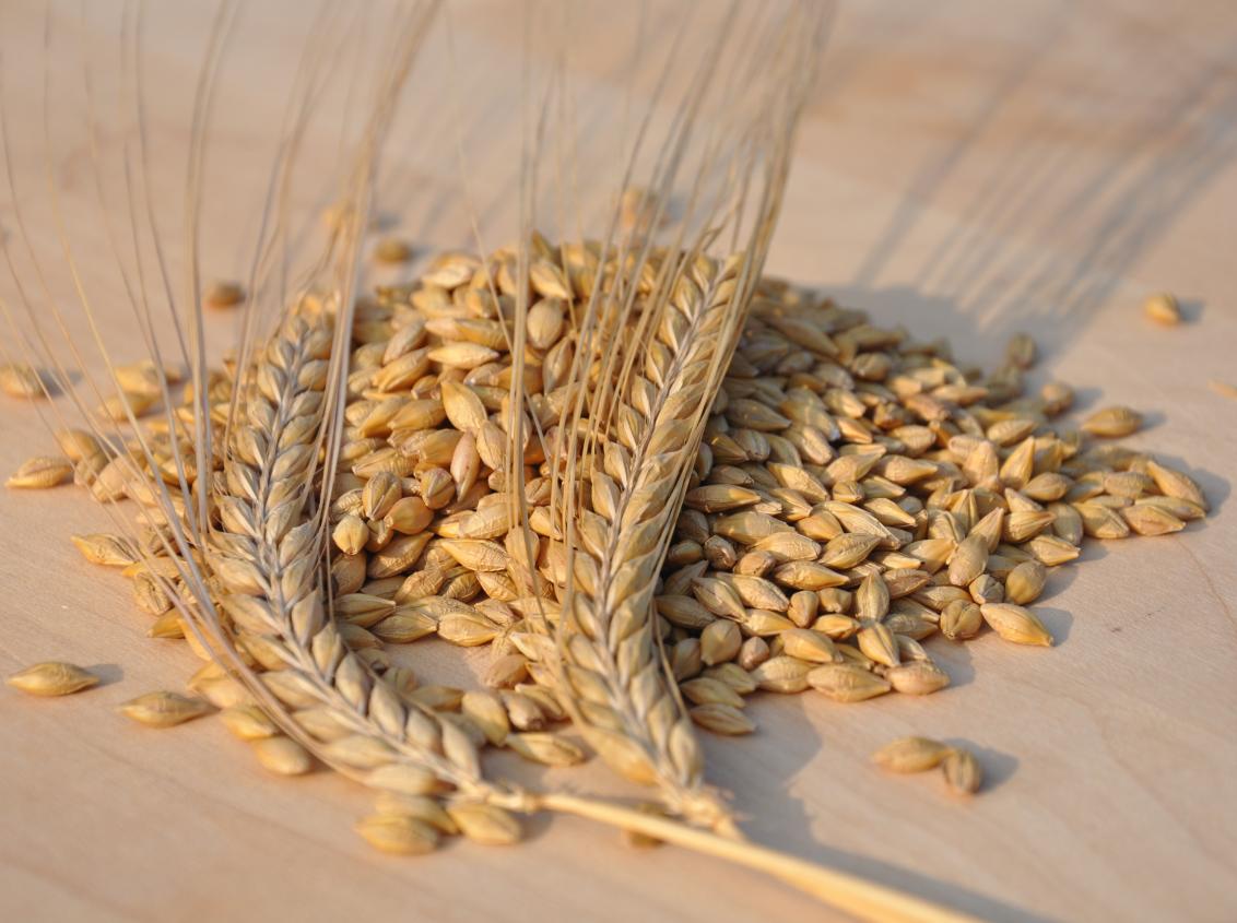 Laureate Grain