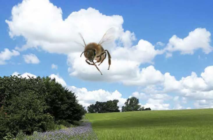 syngenta_uk_package_1.jpg