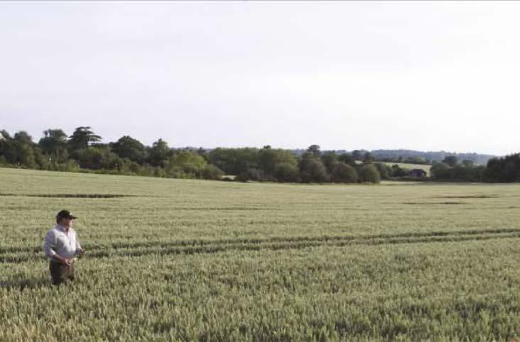 syngenta_uk_package_1.jpg