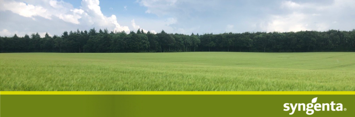 Spring Barley Header