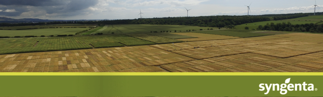 Cereals Email Banner Image