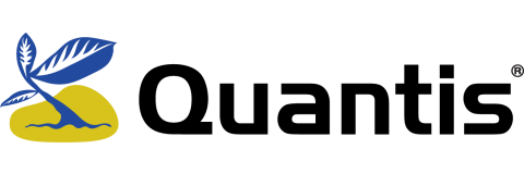 Quantis