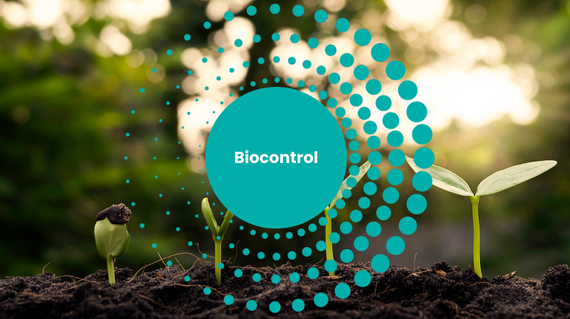 biocontrol