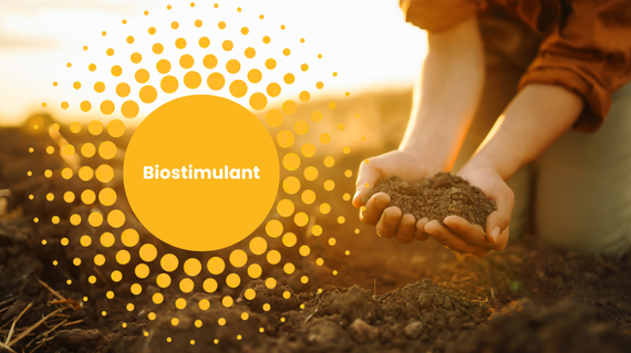 biostimulant