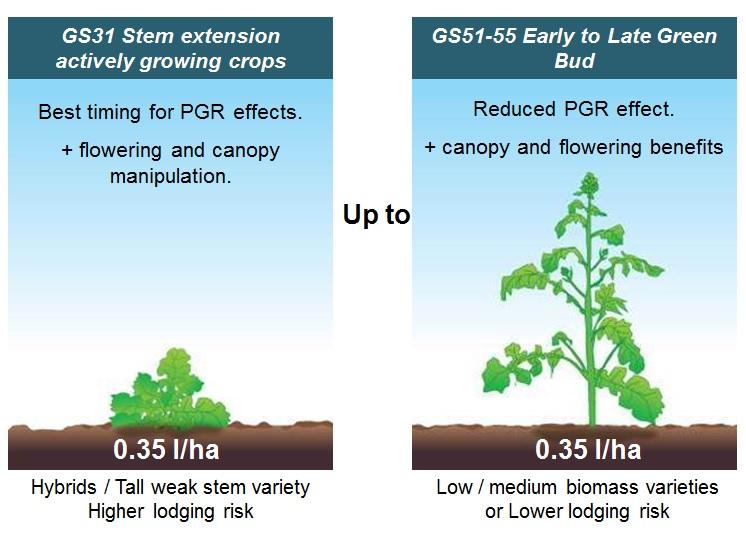 TOPREX OSR PGR timing