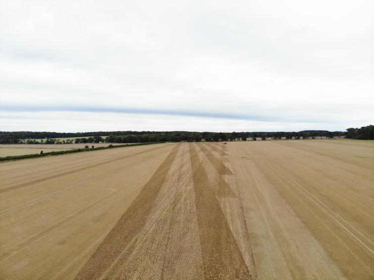 Image of a dry field