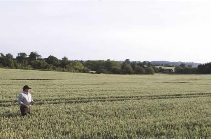 syngenta_uk_package_1