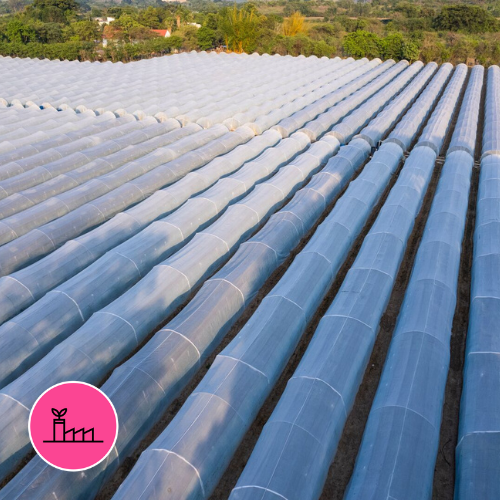 Sustainability