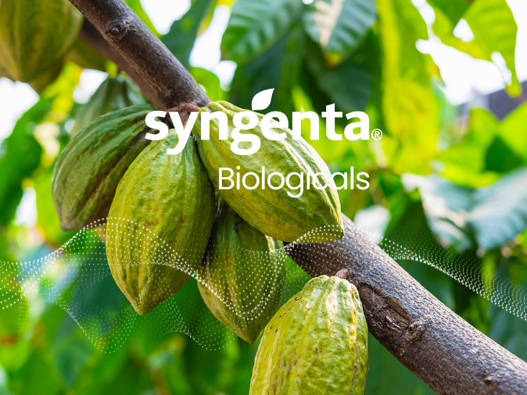 cocoa biologicals