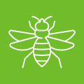 insecticide