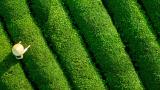 Extreme conditions need a new approachClimate change is increasing stress conditions in crops.New challenges require new solutions to prevent yield loss. Using the plant’s natural processes to improve tolerance to abiotic stress ensures greater yield stability.