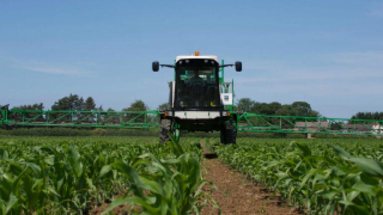 Maize spraying