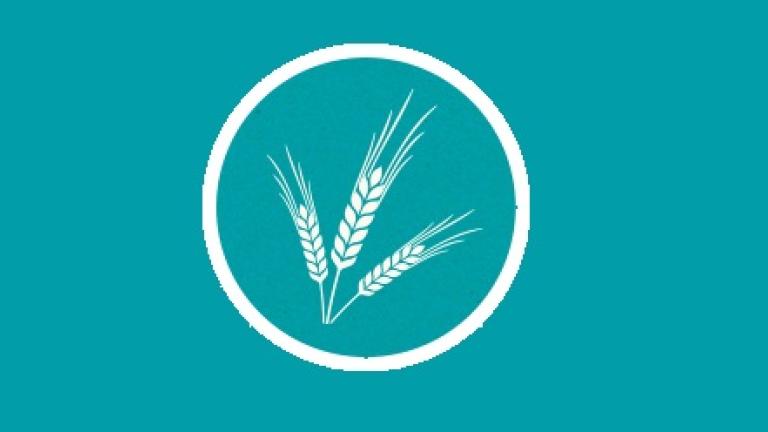 Cultural black-grass control