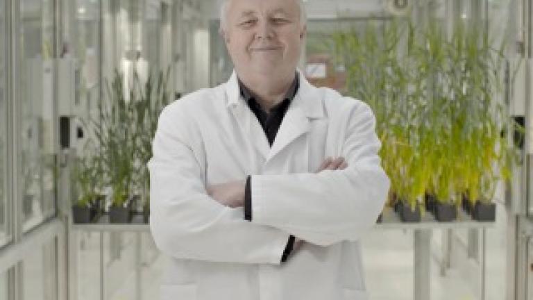 Harald Walter