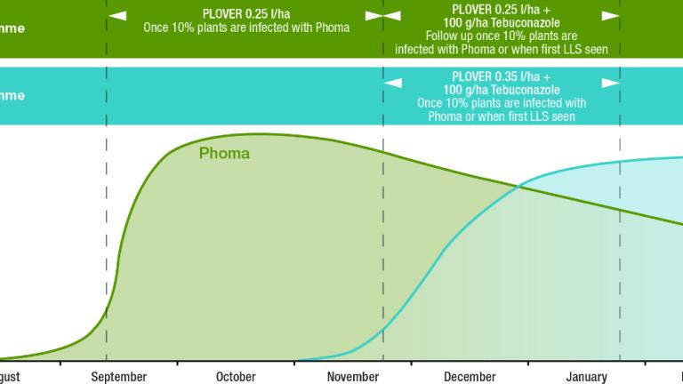 Plover recommendations