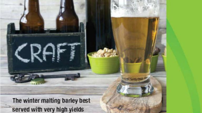 Craft winter barley
