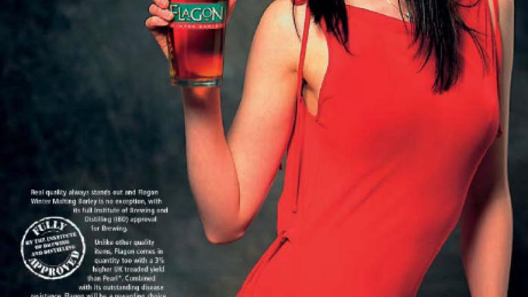 Flagon winter barley