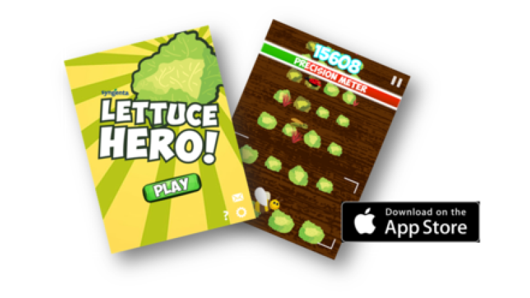 Lettuce hero