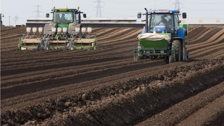 Potato seedbed preparation and planting
