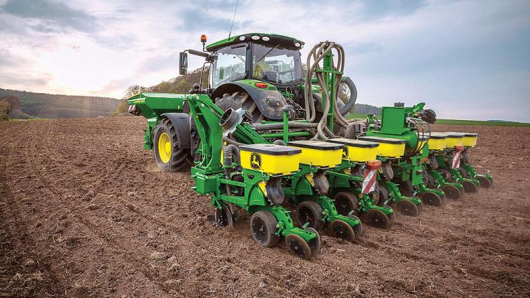 Maize drilling
