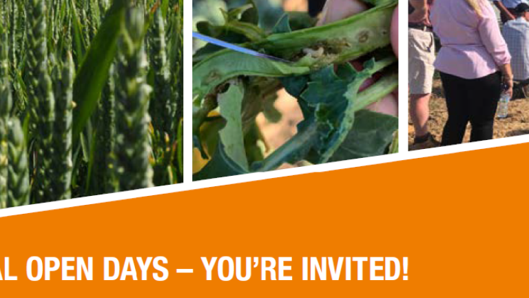 Virtual Open Days Invitation