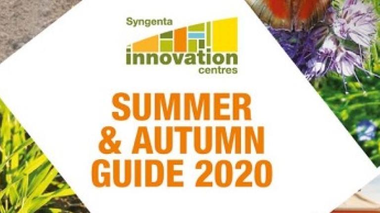Summer and Autumn Guide 2020
