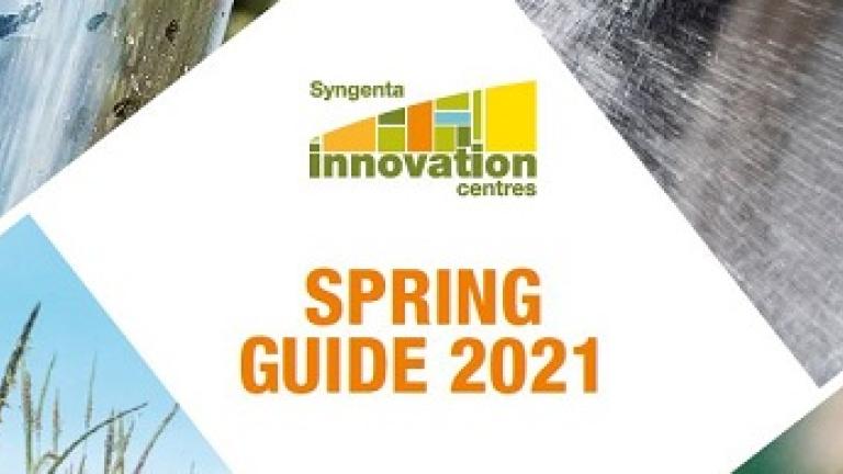 Spring Guide 2021