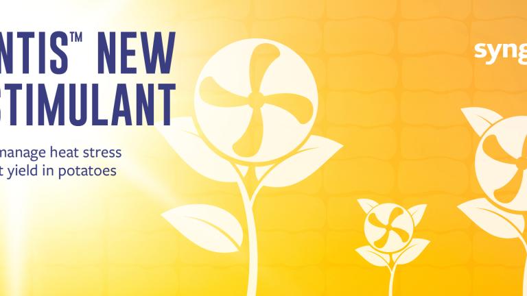 syngenta_quantis_new_potato_biostimulant