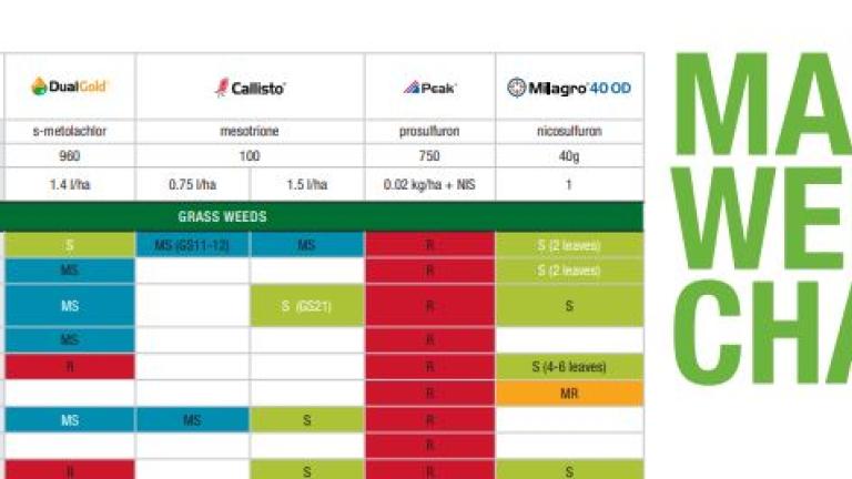 Maize Weed Chart Screenshot